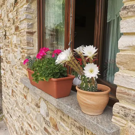 Апартаменты Casa Bella Vista